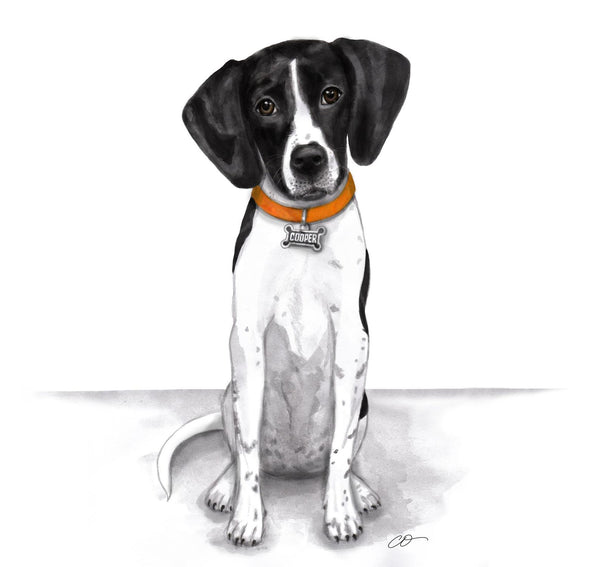 Custom Watercolor / Color Pencil Pet Portrait 9x12