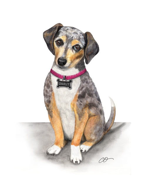 Custom Watercolor / Color Pencil Pet Portrait 9x12