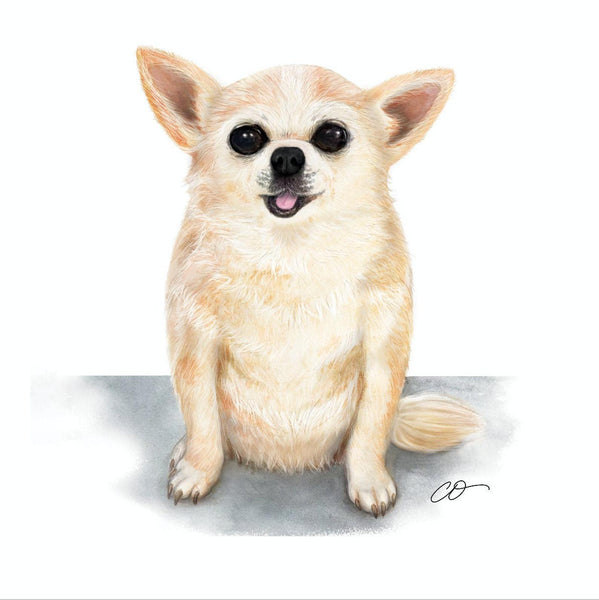 Custom Watercolor / Color Pencil Pet Portrait 9x12